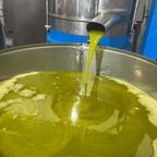 Huile d'olive extra vierge Sicilienne Monocultivar Nocellara del Belice – Récolte 2025/26