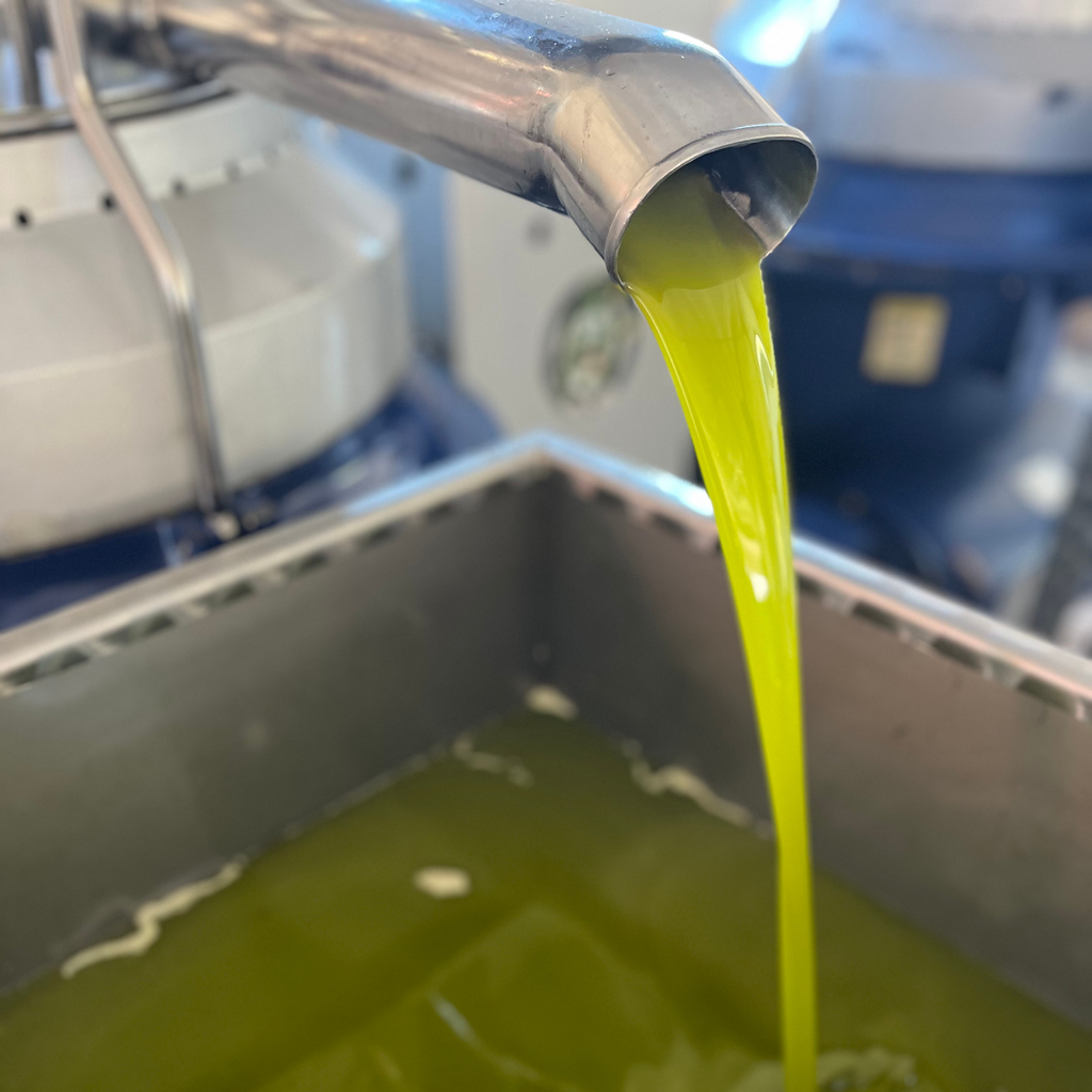 Huile d'olive extra vierge Sicilienne Monocultivar Nocellara del Belice – Récolte 2025/26