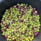 Huile d'olive extra vierge Sicilienne Monocultivar Nocellara del Belice – Récolte 2025/26