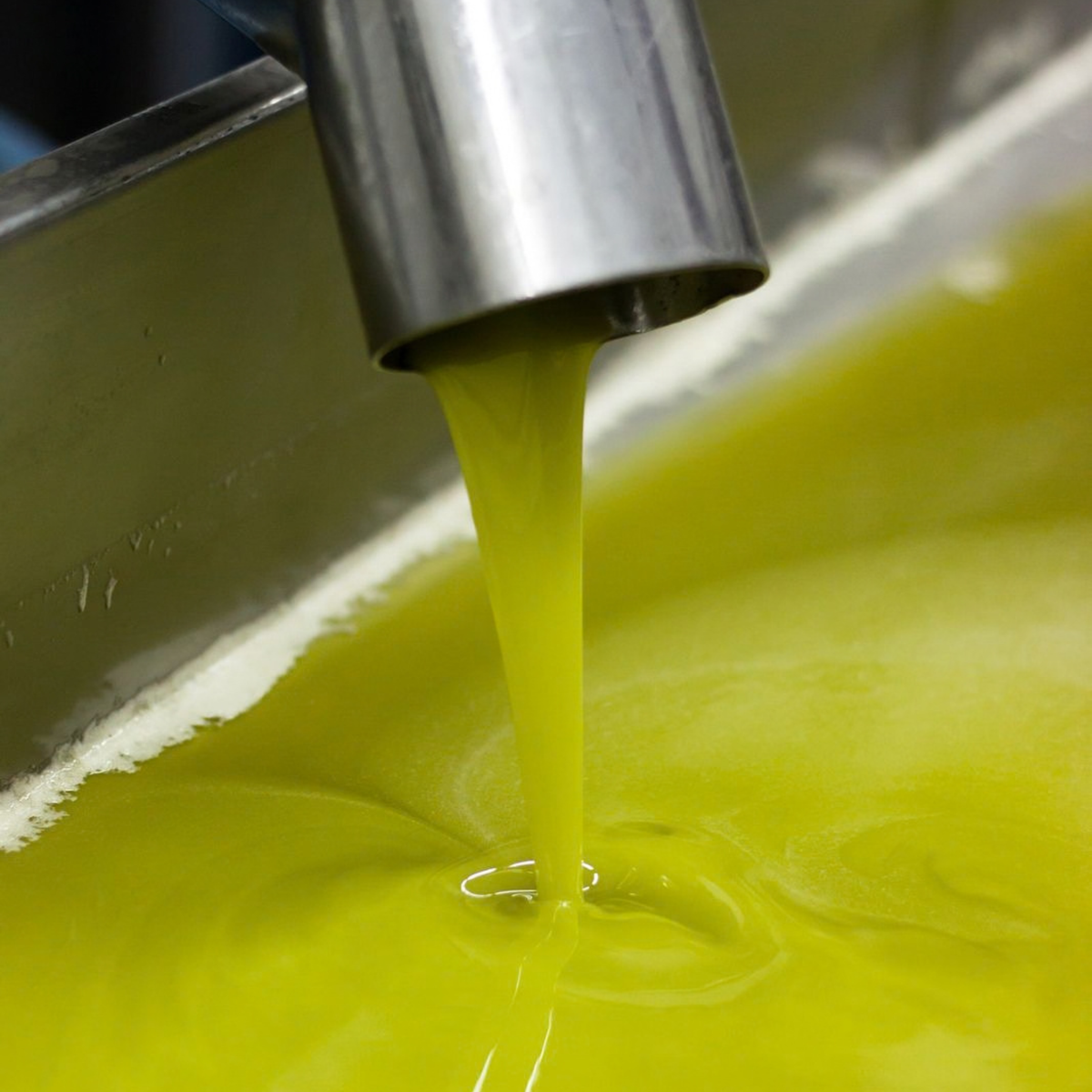 Olio Extravergine di Oliva 100% Nocellara del Belice – Annata 2026/27
