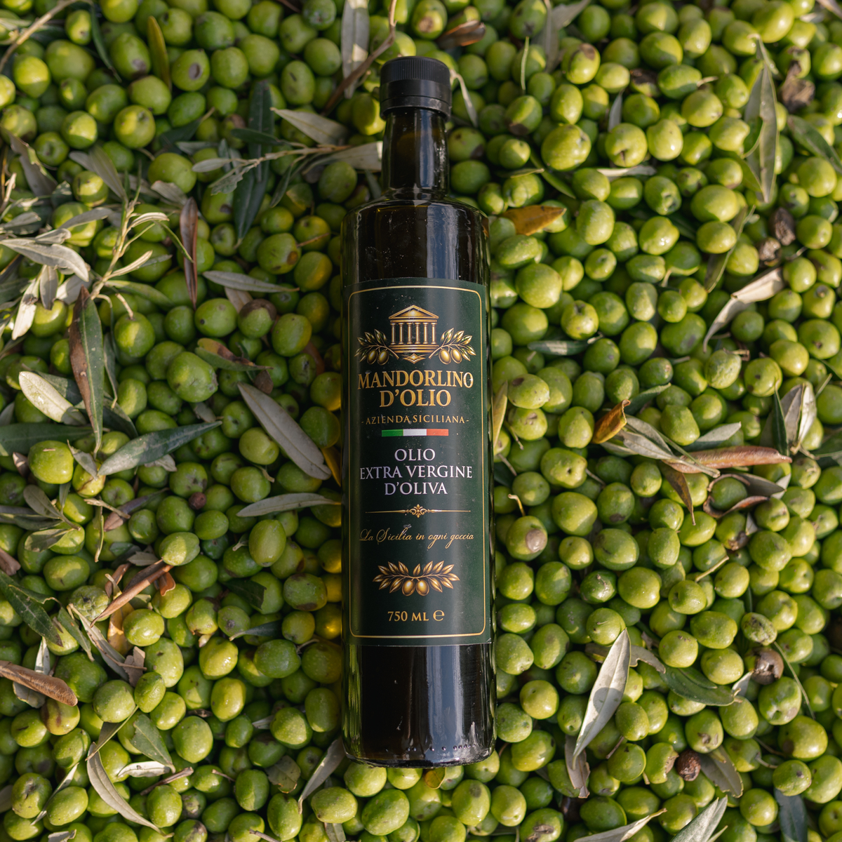 Olio Extravergine di Oliva 100% Nocellara del Belice – Annata 2026/27
