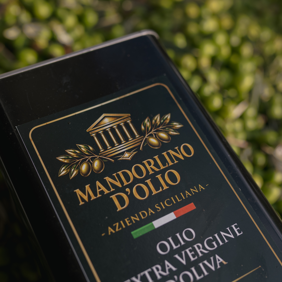 Olio Extravergine di Oliva Siciliano Nocellara del Belice – Raccolta 2026/27