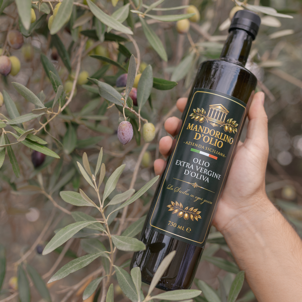 Olio Extravergine di Oliva 100% Nocellara del Belice – Annata 2026/27